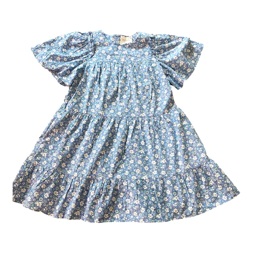 Tuckernuck Hyacinth House Blue Floral Romy Tiered Mini Dress sz XS